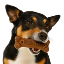 Milk-Bone GravyBones® Dog Treats – Savory Coated Biscuits