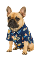 Hawaiian Vibes Dog Shirt – Blue Pineapple Print
